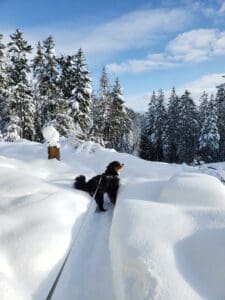 Snow in Sandpoint Idaho