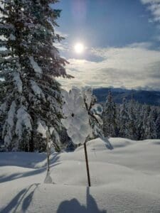 Snow in Sandpoint Idaho