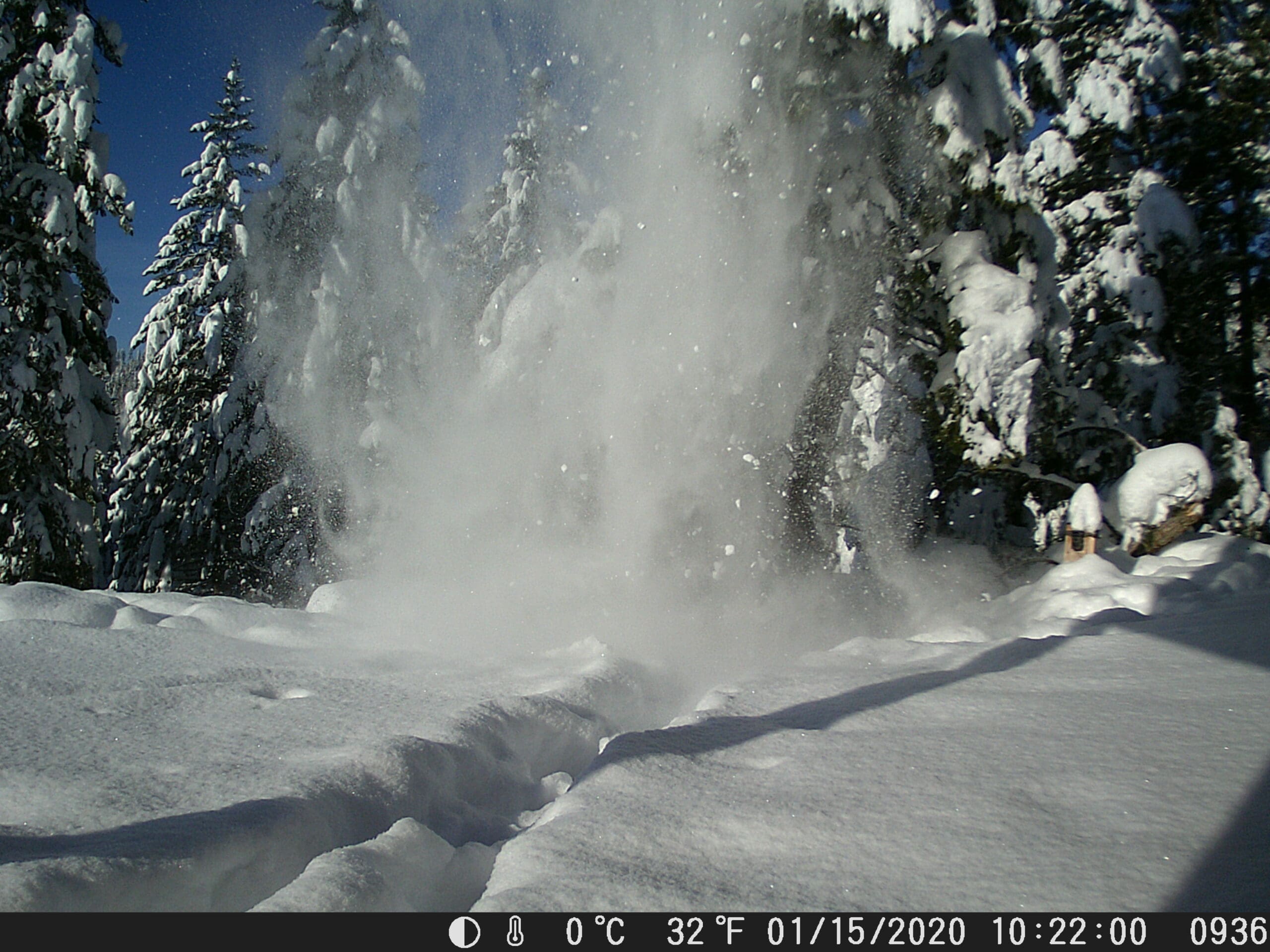 Trail Cam picture from Sandpoint Idaho