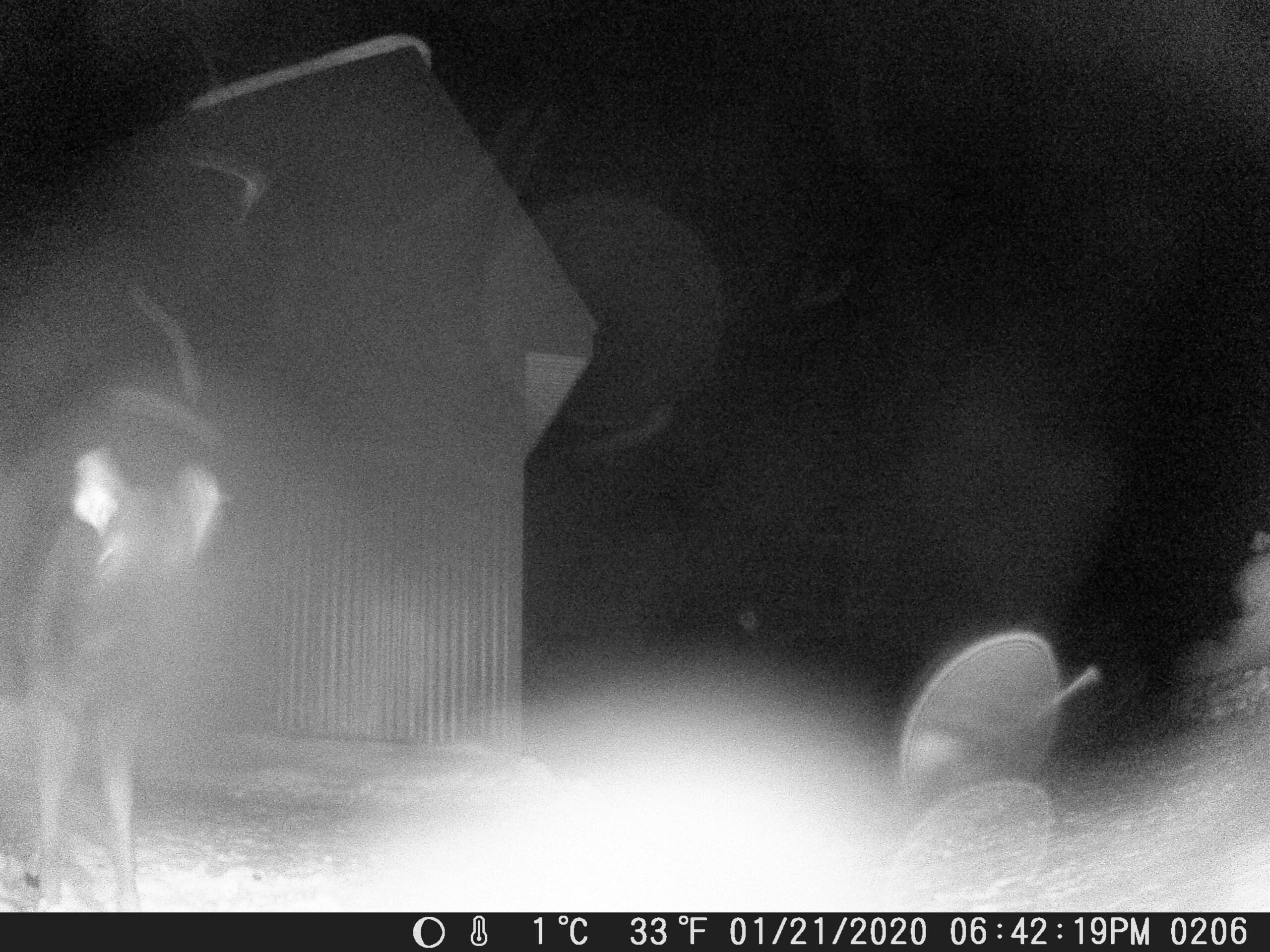 Trail Cam picture from Sandpoint Idaho