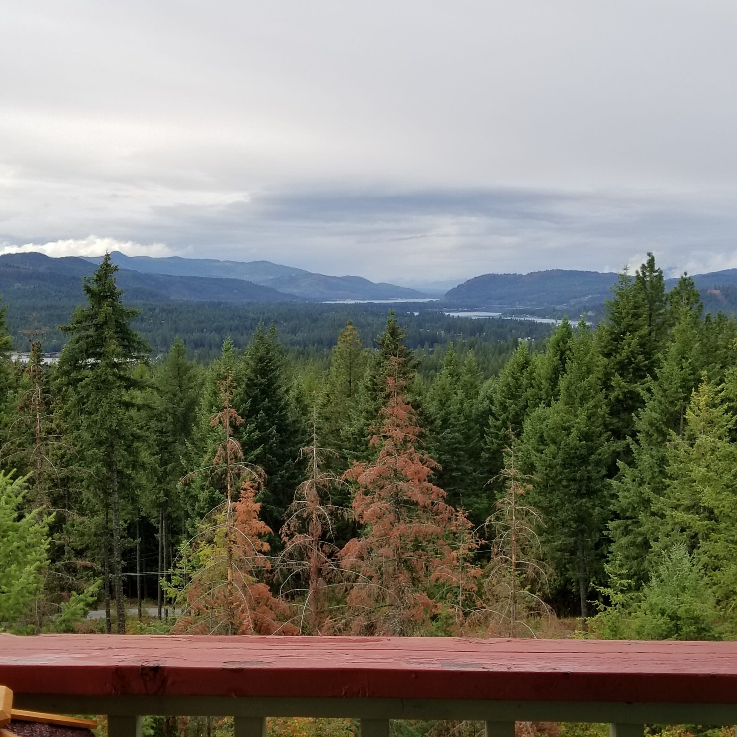 My view sandpoint idaho