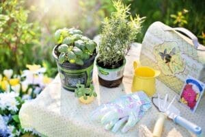 keep children entertained growing a herb garden