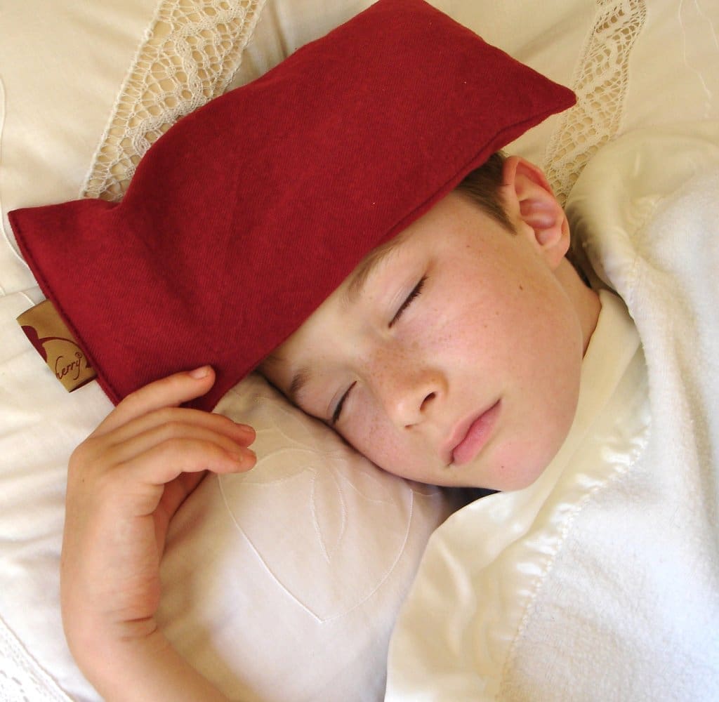 Hot Cherry Pillow