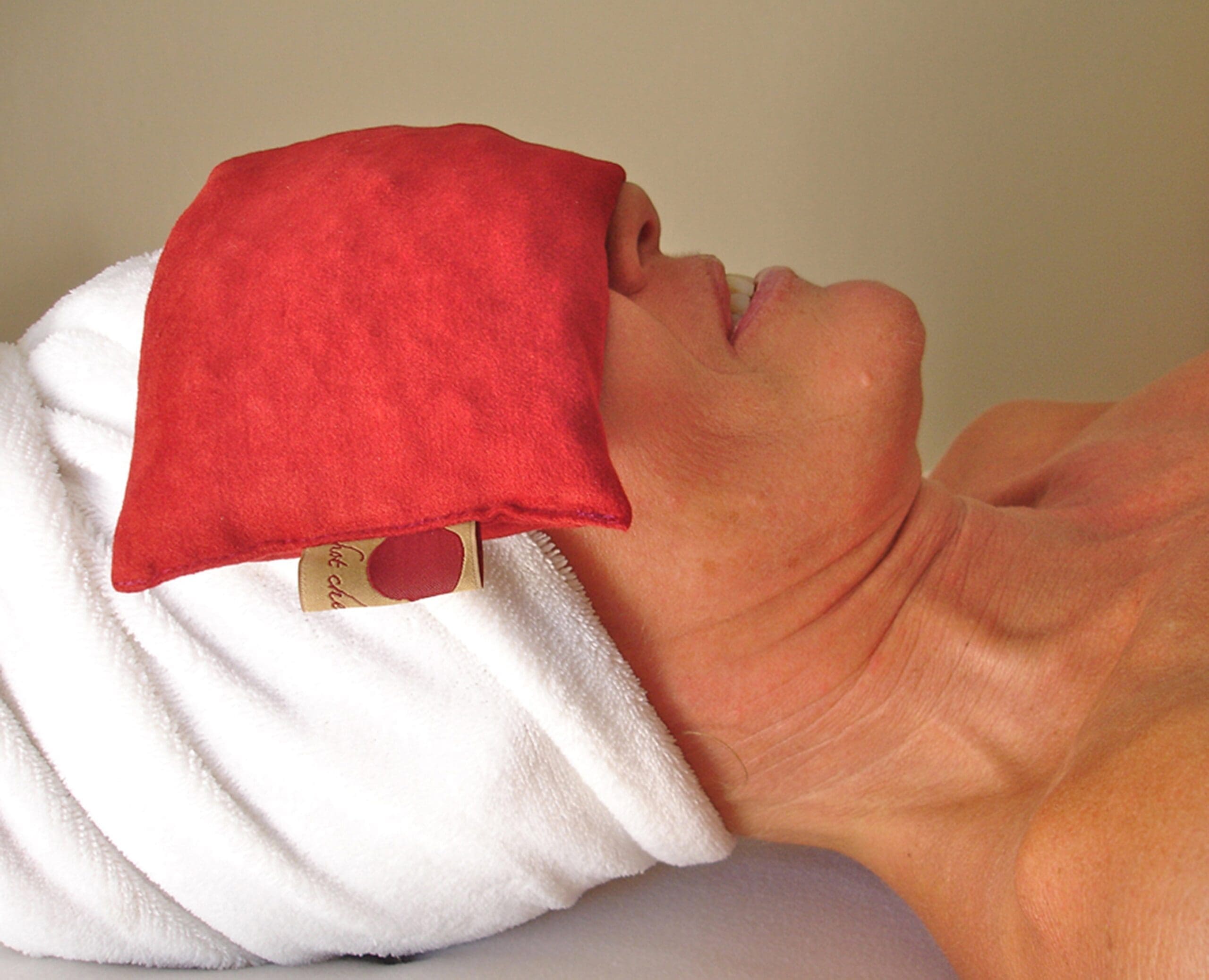 Hot Cherry Pillow