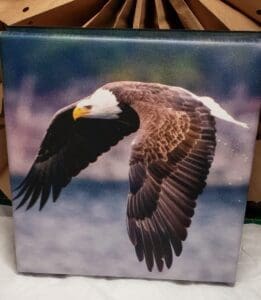 Eagle on canvas