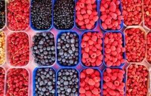 Immune System berries