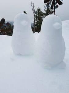 snow penguin