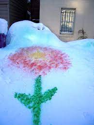 Flower in snow