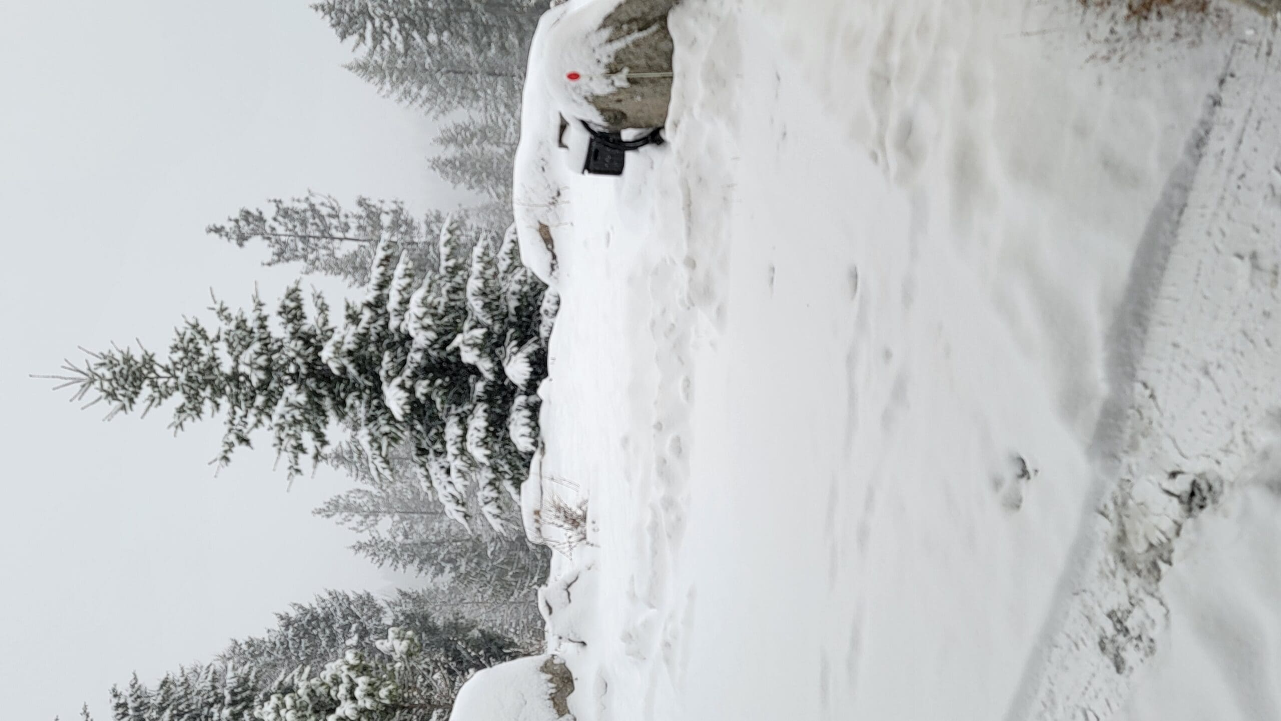 Snow