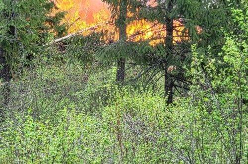 Fire North Idaho Land management