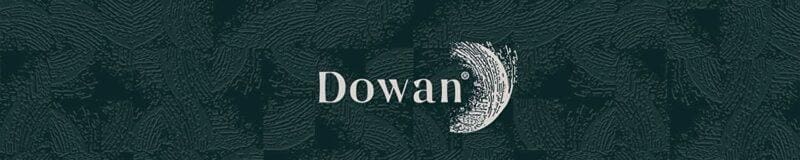 Dowan