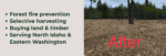 North Pacific Land Management after picture FROM their website