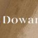 Dowan logo