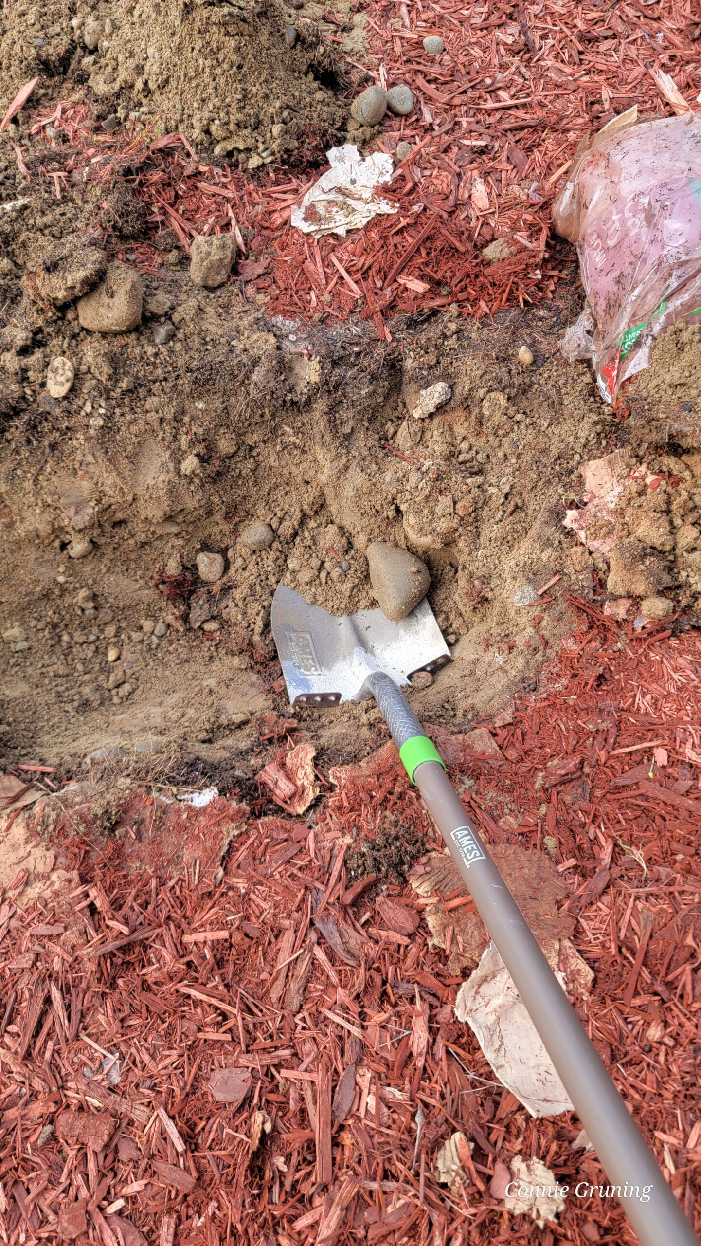 Dig the hole