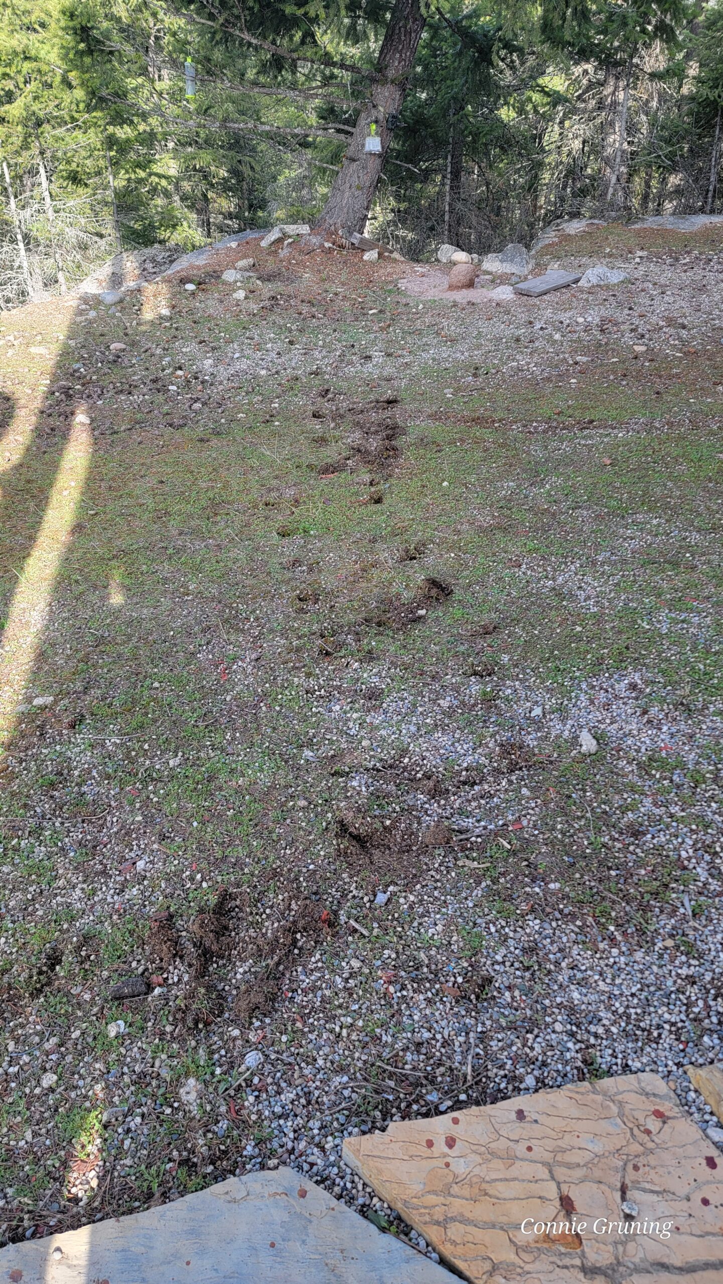 dirt marks