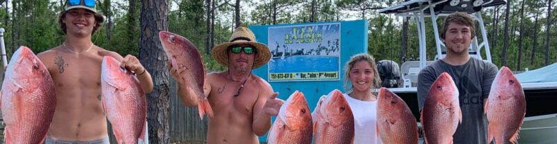 Vacation Ideas in Alabama Fishing Dauphin Island