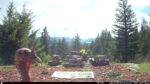 Sandpoint Idaho Win $50 Your Way Giveaway May 2024
