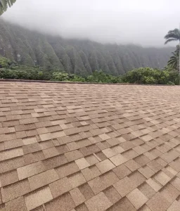 Are cool roofs able to significantly reduce Hawaii's tropical heat?

You've likely heard the buzz about these inFnovative roofing solutions, designed to reflect more sunlight and absorb less heat than a standard roof. But what's the real story?