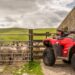 A red ATV with a sheepdog resting on the back is parked outside a farm gate with many sheep on the other side.