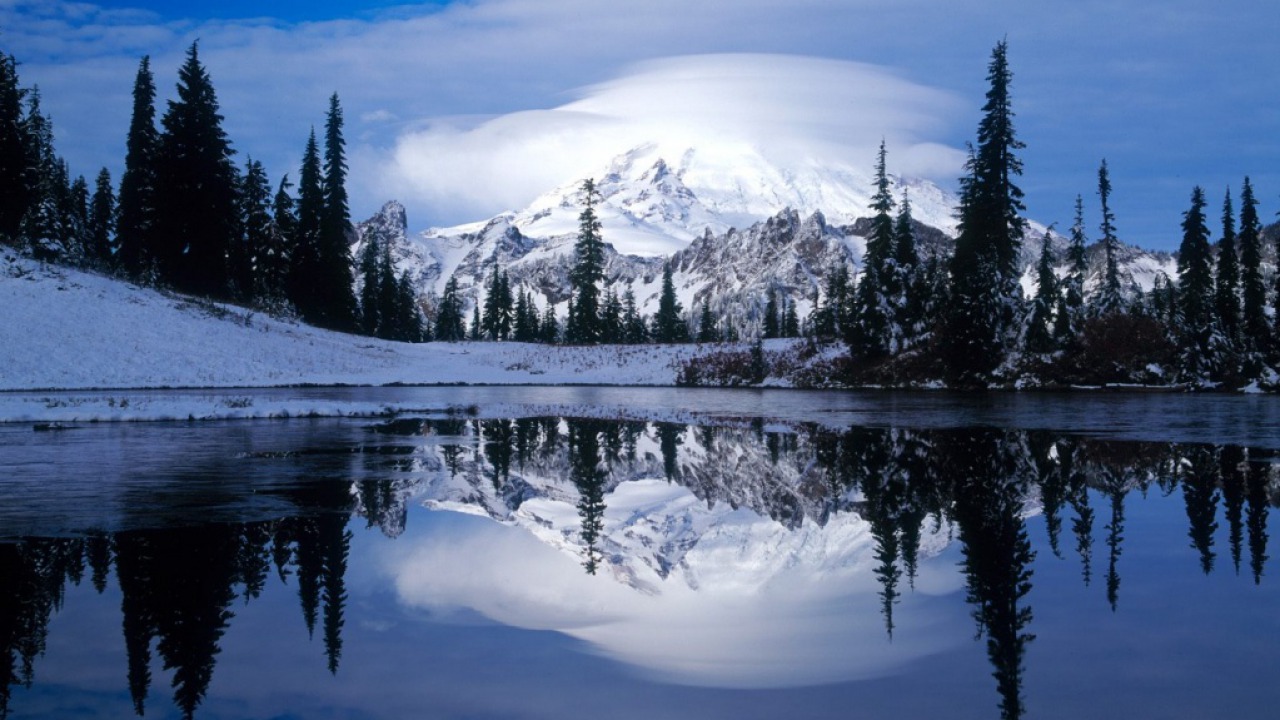 winter scene It's Picture Day