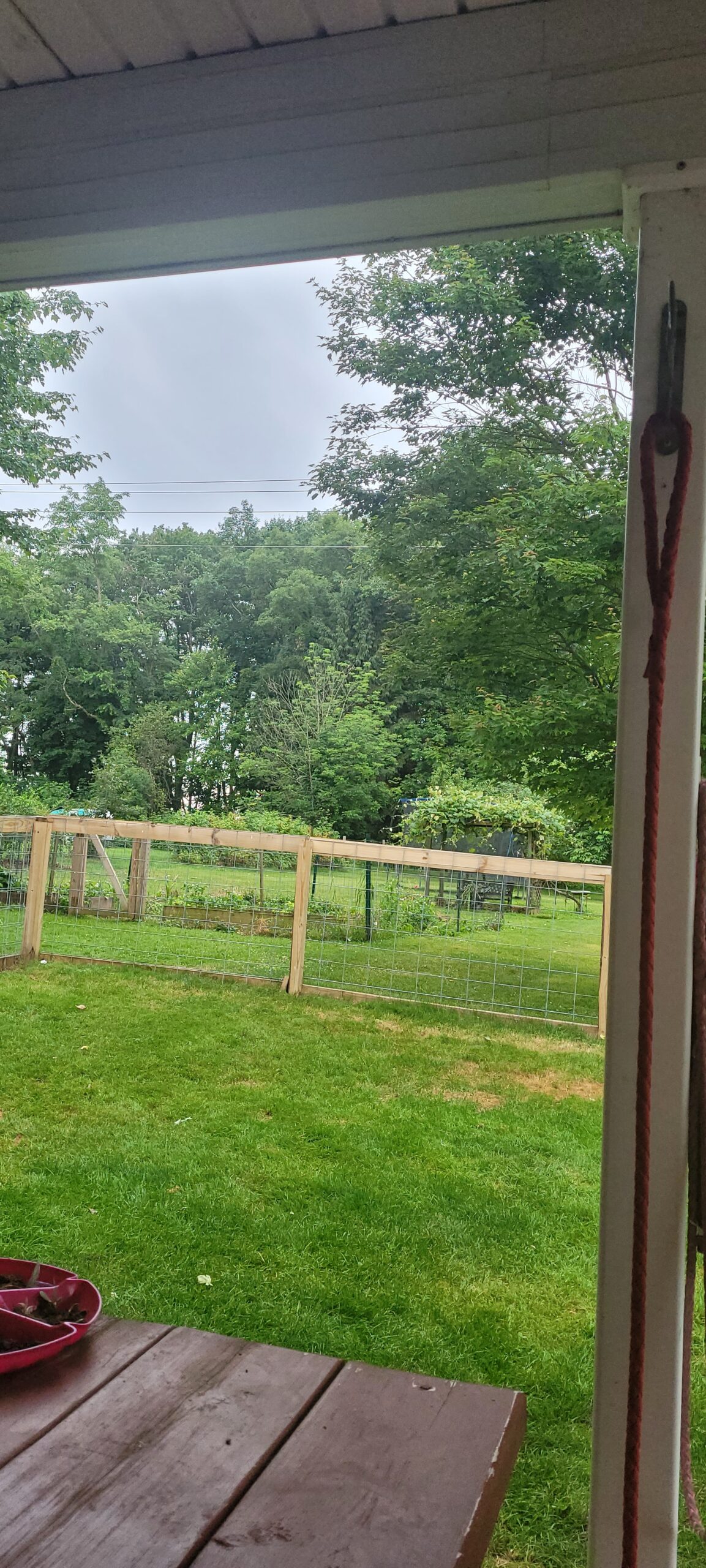 beautiful yard