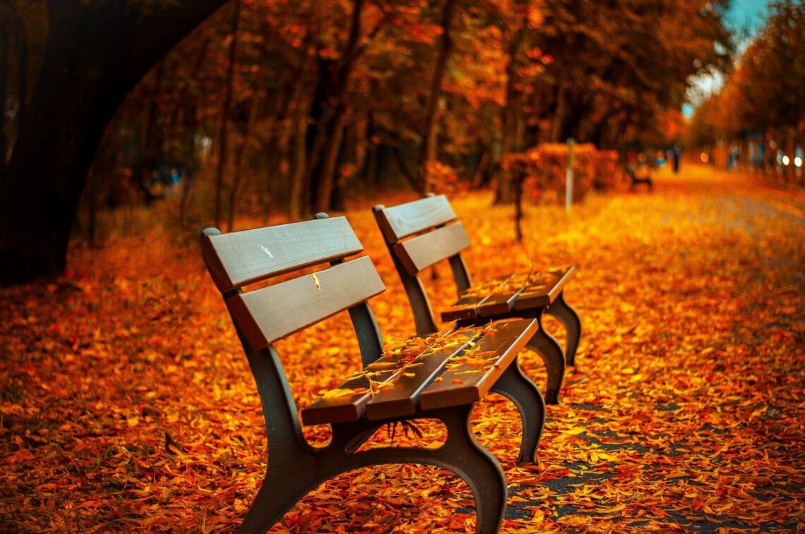 benches in the fall