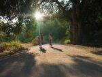 Walking in sunshine Deal With Trauma