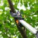 A long silver, black, and orange tree pruning device reaches up into the tree's branches to prune a branch.