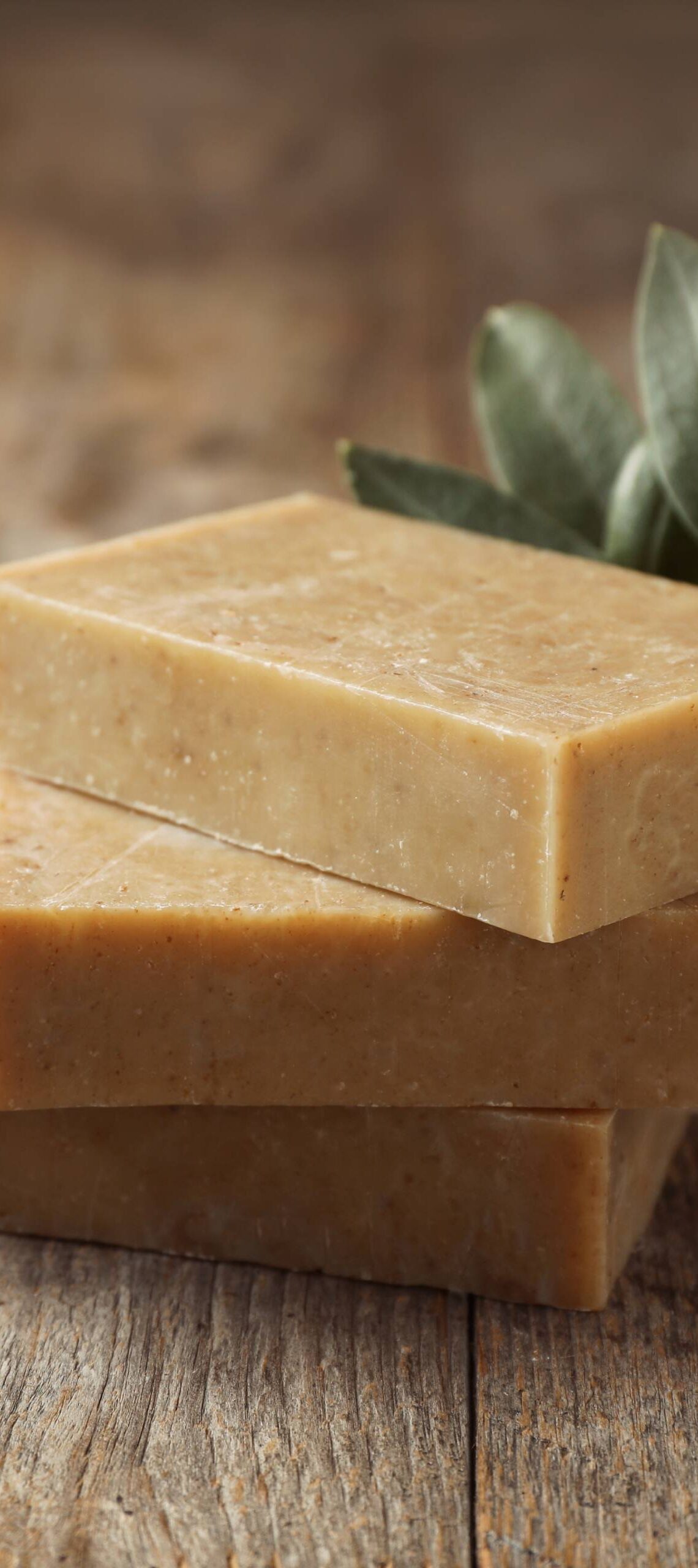 A stack of three homemade soap bars sitting on a wooden table. There's an olive branch and a few olives next to the stack.