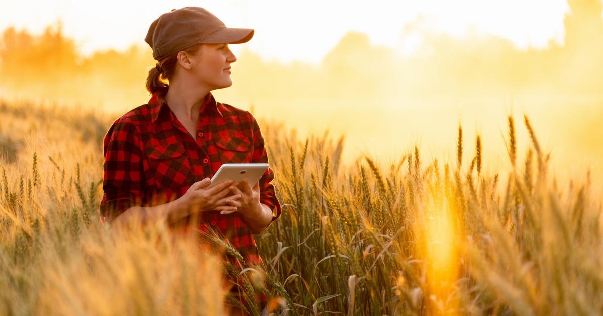 A woman in a red plaid shirt and gray cap holds a white tablet while standing in a field of tall cereal crops.