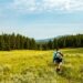 A person in long sleeves and shorts walks through tall grass toward trees with mountains and clouds in the distance.