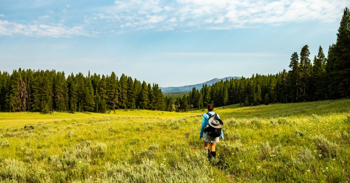 A person in long sleeves and shorts walks through tall grass toward trees with mountains and clouds in the distance.
