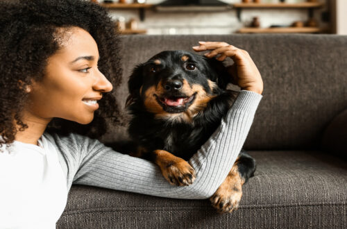 A young Black woman sits on the floor in her home, smiling as she stares at her cute dog on the couch.