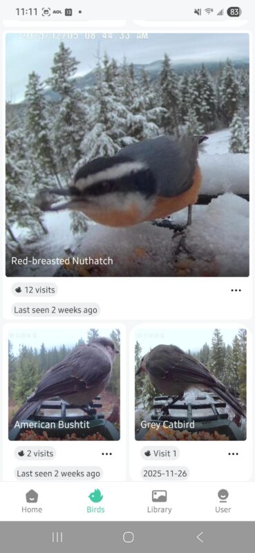Bird visits that I have collected from my HEAPETS Bird feeder