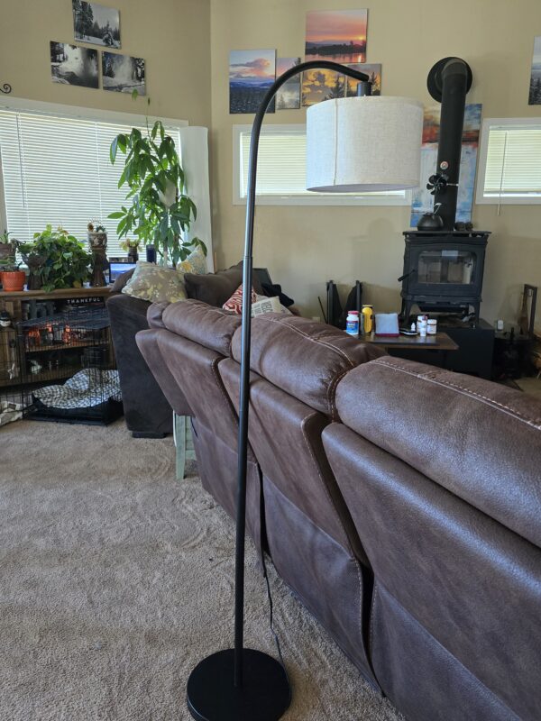 EDISHINE Floor Lamp