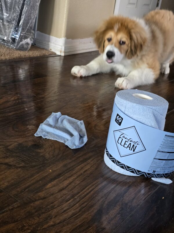 Walter lying on a dark wooden floor near a roll of FantastiCLEAN Tear-Away Microfiber Cloth Roll 