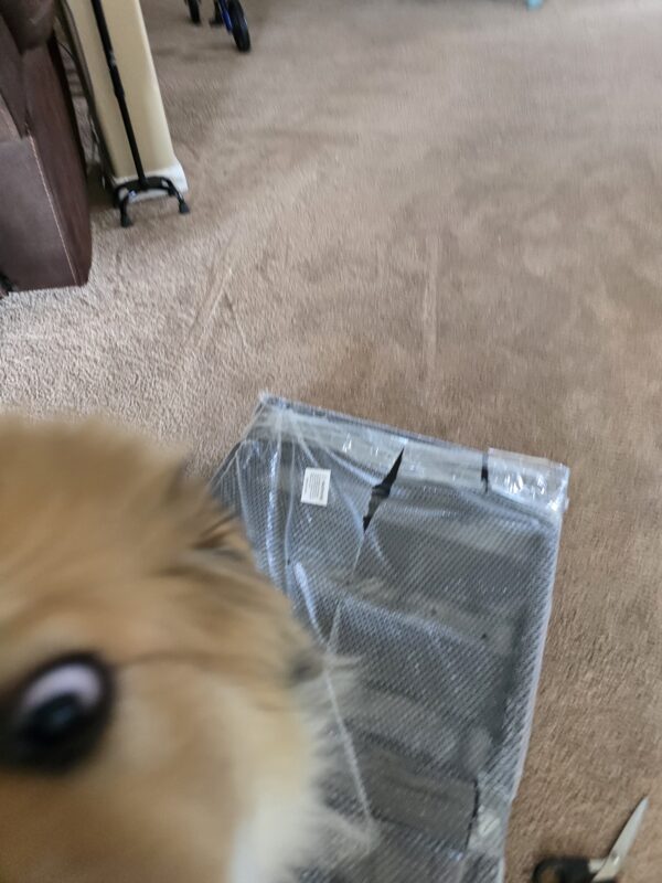 Close-up of a brown dog's nose and eye in the bottom left, with a carpeted floor and a wrapped metal item nearby. Disassembled Greenvines rocking chair frame parts on a carpet: metal slats, side rails, end rails, a pair of scissors, and an instruction manual 