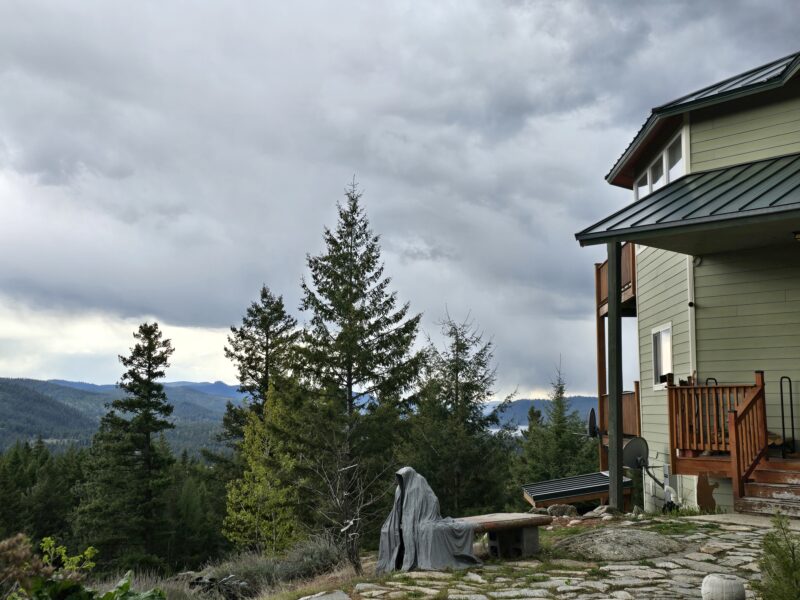 Mountain view from a decked house with green siding and cloudy sky; evergreen trees in foreground and rocky yard in foregrounds.