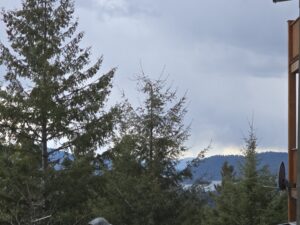 Evergreen trees in foreground with distant snow-capped mountains and a wooden railing on the right side of a deck.