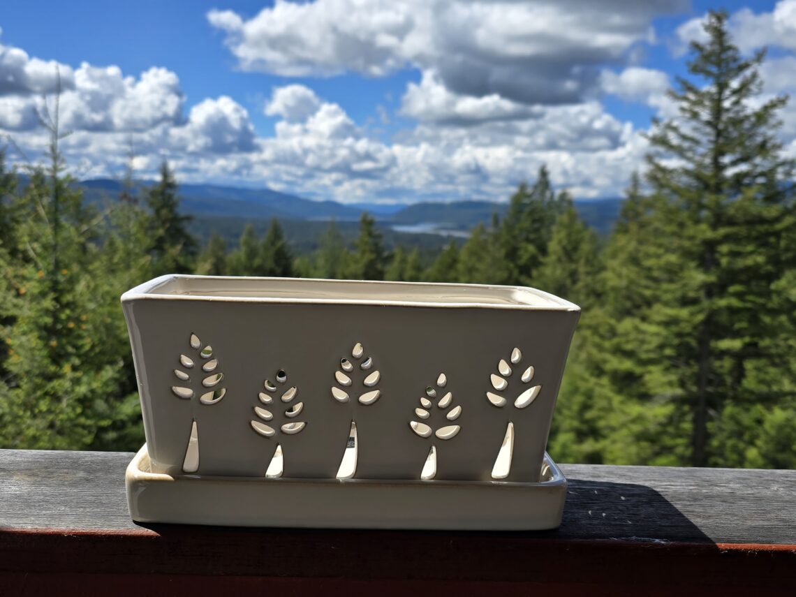 BuyMax Orchid pot with cutout leaf pattern on a wooden table, overlooking a forest and distant mountains under a cloudy blue sky.