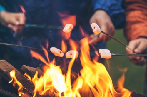 Four hands hold sticks with marshmallows over an open flame, roasting them above a fire pit with glowing flames.