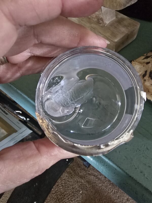 GleamGlee Museum Paste, crystal clear