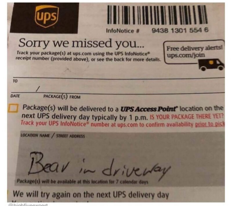 Bear in driveway from UPS In my indoor gardening post