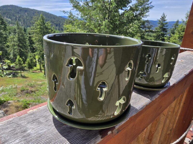 Indoor gardening with beautiful BuyMax Green Orchid Pots
