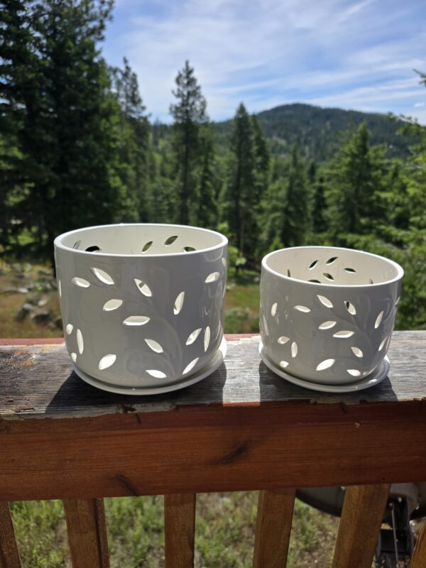 buymax white orchid pots. Indoor gardening