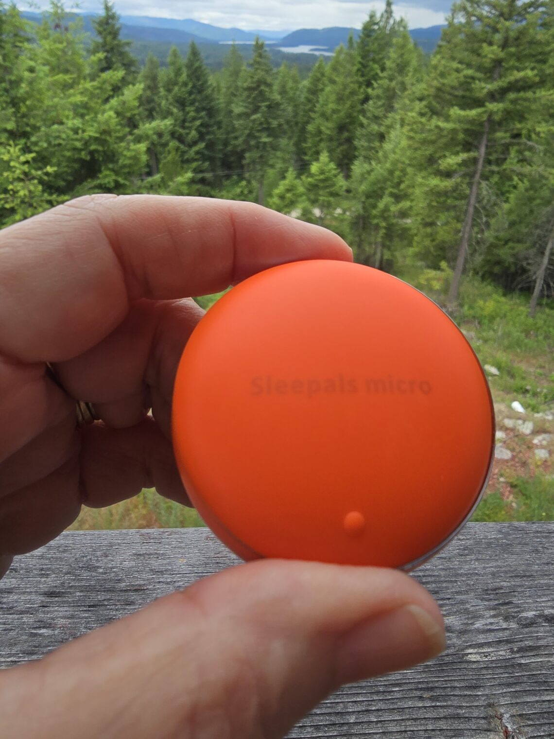 Close-up of a bright orange circular disk held between fingers outdoors, with a forest and hills in the background.