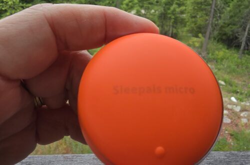 Close-up of a bright orange circular disk held between fingers outdoors, with a forest and hills in the background.