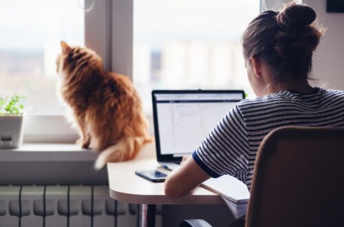 A person working with a laptop at a small desk in their home office. A cat looks out of a nearby window.