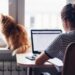 A person working with a laptop at a small desk in their home office. A cat looks out of a nearby window.