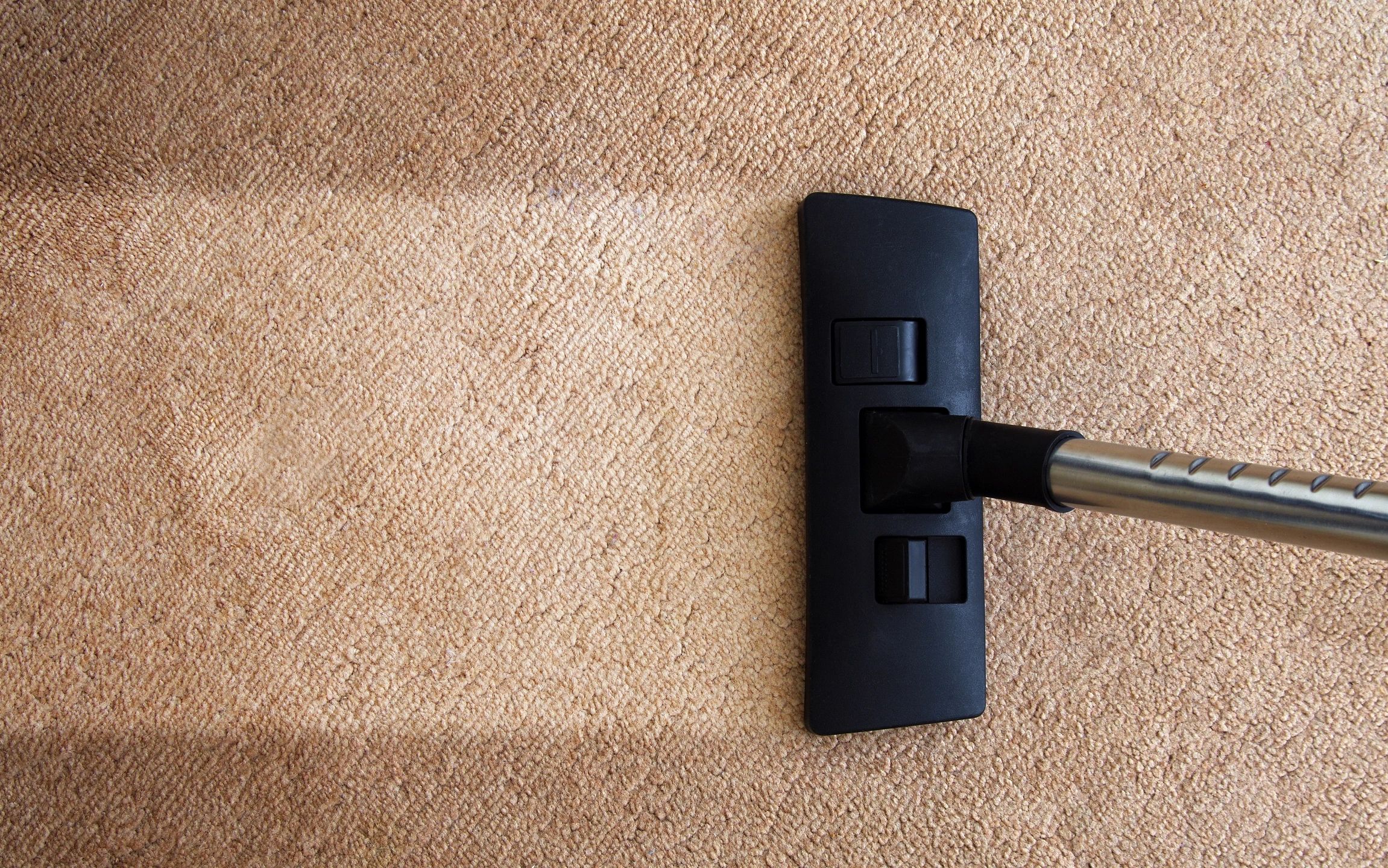 carpet cleaning one clean spot on a dirty carpet